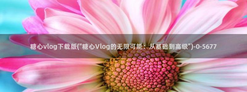 糖心vlog瑶瑶：糖心vlog下载版(\