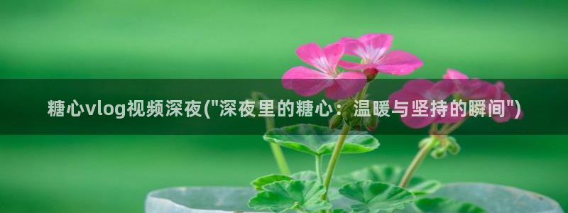 糖心vlog包子叫什么：糖心vlog视频深夜(\