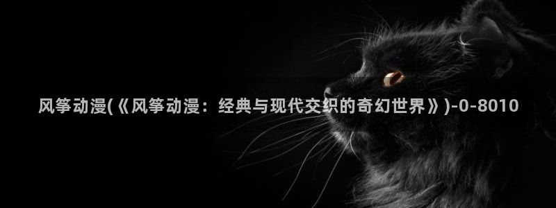 动漫小说
