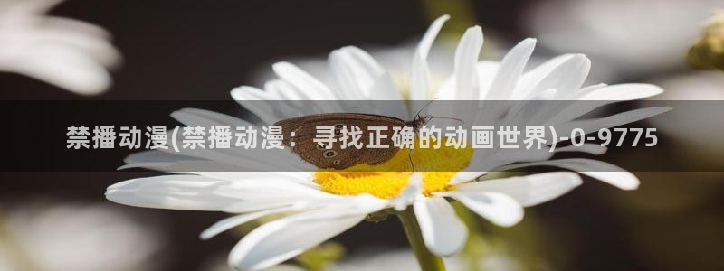 黑兽动漫