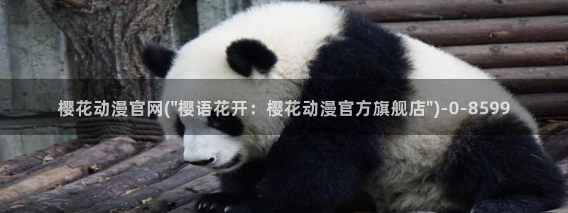 武动乾坤动漫