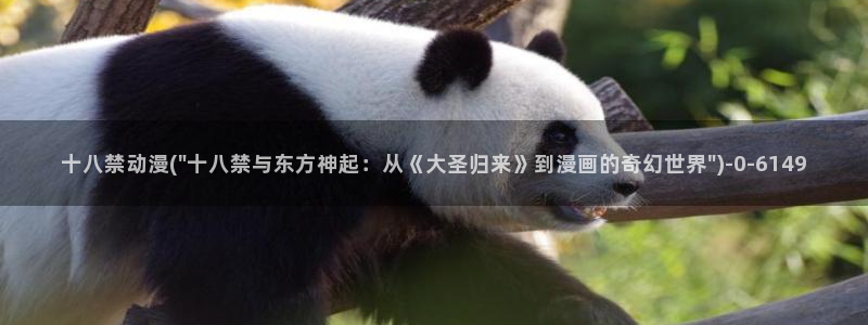 夫妻成长日记动漫