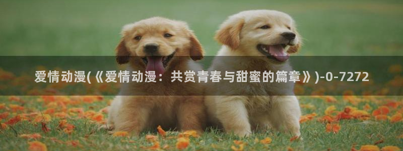 动漫网站